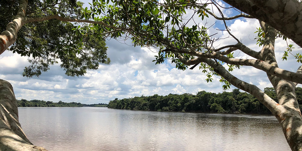 Rio Guaporé
